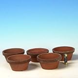 国産素焼き浅鉢3.5号 5個セット