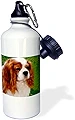 ローズWB _ 981 _ 1 Cavalier King Charles Spanielsスポーツウ��ォーターボトル、21オンス、ホワイト