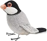 BH7248 HANSA ブンチョウ １３