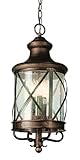 Trans Globe Lighting 5126 ROB 4-Light Hanging Lantern, Rubbed Oil Bronze by Trans Globe Lighting