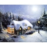 Snow House DIY Paint By Number Kit Digital Oil Painting Canvas Office Wall Decor