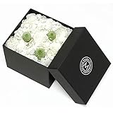 grand musee グランミュゼ プリザーブドフラワー ギフト ボックス M ブラン 0305-BOX-M-001