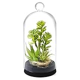 GREENPARK 多肉植物ミックスB ガラスドームM 造花 フェイクグリーン