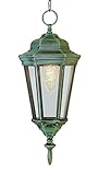 Bel Air Lighting 4097 VG 1-Light Hanging Lantern [並行輸入品]