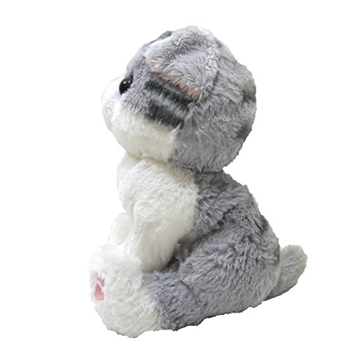 きゃわわ おすすめスコティッシュフォールドのぬいぐるみ５種類を紹介します うさちゃんショップ ぬいぐるみのあや