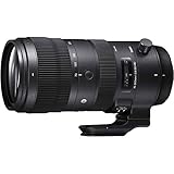 SIGMA 70-200mm F2.8 DG OS HSM | Sports S018 | Sigma SAマウント | Full-Size/Large-Format