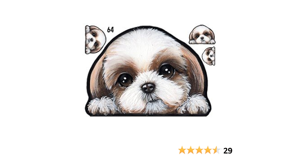 Amazon 犬ステッカー シーズー64 シール雑貨グッズ ステッカー デカール 車 バイク
