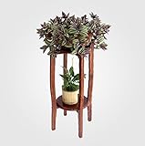 レインボーフラワースタンド 木のフラワーラック多層フロアポットラック (サイズ さいず : High: 80cm)
