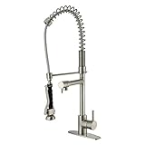 VIGO Zurich Single Handle Pull-Down Spray Kitchen Faucet with Deck Plate, Stainless Steel [並行輸入品]