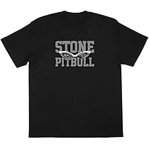 41VZ-srLThL._AC_UL210_SR210,