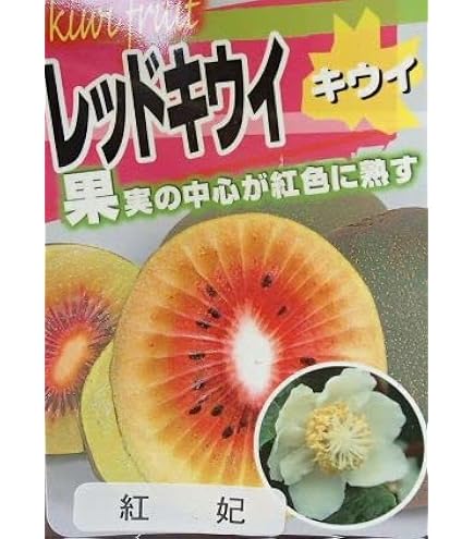 Amazon.co.jp: キウイ 苗木 ロッキー (早生オス) 12cmポット苗 キウイ