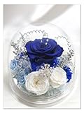 【プリザーブドフラワー／オルゴールシリーズ・雪の女王】美しい花も宝石の輝きも凍らせてしまう、氷の世界に生きる雪の女王のクールな心