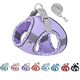 犬 ハーネス リードセット 負担が少ない 軽量 通気 犬用ハーネス小型犬 猫ハーネス首輪 胴輪 簡単着脱 抜けない 犬はーねす小型 3MTM反射素材付属 マジックテープ 超小型犬 中型犬 調節可能 ペット用品 引っ張り防止 着脱簡単 老犬 歩行補助 散歩用 夏用 人気 メッシュ おしゃれ チェック柄 (L, パープル)