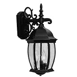 Livex Lighting 7535-04 Outdoor Wall Lantern with Clear Beveled Glass Shades, Black [並行輸入品]
