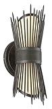 Troy Lighting Blink 14"H 2-Light Outdoor Wall Lantern - French Iron Finish with Provence Glass [並行輸入