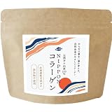 オーガランド コラーゲンパウダー (100g) NIPPONコラーゲン コラーゲン 国産 粉末 低分子 コラーゲンペプチド フィッシュコラーゲン
