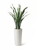 観葉植物 大型 フェイク 造花 ♪【グリーンパーク】プランター H50×サンセベリア＜タイプ：ウッドチップ＞♪ インテリアグリーン アーティフィシャル