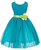 Kids Showtime Little Girl Baby Occasion花チュールシフォンドレスサイズ3 to 8y カラー: ブルー