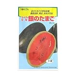 スイカ 種 【 銀のたまご 】 種子 小袋（約10粒）