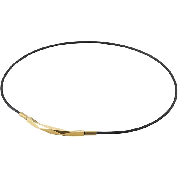 Amazon | phiten(ファイテン) ネックレス RAKUWAネック メタックス