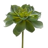 Darice Small Faux Succulent – VariegatedグリーンRosette – 4.75インチ