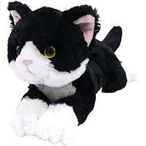 Amazon.co.jp: サンレモン ひざねこ ハチワレ SS 11×29×12cm