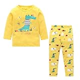 Chaufly ベビー服 子供服 服セットかわいい 恐竜プリント ホーム服 子供 ロング スリーブ Tシャツ パンツ 2pcs /セット