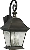 Forte Lighting 1046-04-14 Exterior Wall Light with Clear Seeded Glass Shades, Royal Bronze [並行輸入品]