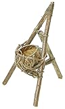 村田屋 【ココナッツ容器】 ココバスケットスタンド