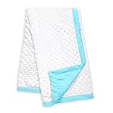 White Minky Dot Baby Blanket, Reverses to Teal Satin, by The Peanut Shell by The Peanut Shell