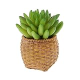 GRALARA人工多肉植物　フラワー　 観葉植物　プラスチック製　工場　ホーム　デコレーション　9cm　緑