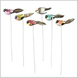 インテリア メッセージカード ガーデニング ガーデン 雑貨 ピック アクセント バード 小鳥 かわいい FEATHER BIRD PICK COLOR 6pSET