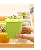 プラスチック プラント花ポット クリエイティブ ミニ スクエア植物ポット トレイ (グリーン)