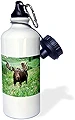 ローズWB _ 94756 _ 1 Bull Moose Wildlife Little Cottonwood、wasatch-cache-us45 hga0064-howie Garberスポーツウォーターボトル、21オンス、ホワイト