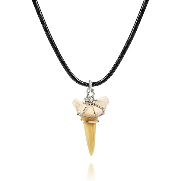 Amazon | KALIFANO 化石サメの歯ネックレス - 本物の先史時代の