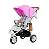 【台数限定】エアバギー AirBuggy COCO PREMIER ココ プレミア クールピンク 3輪ベビーカー