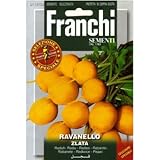 [ 西洋野菜 種 ] ラディッシュ ズラータ