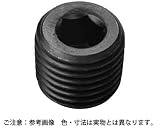 サカムラプラグＳＰ２シズミ 規格(R3/4-14) 入数(125) 【阪村　プラグ（沈み（ロングシリーズ】