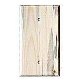 Sierra Lifestyles Traditional Switch Plate, 1 Blank, Finished, Blued Pine by Sierra Lifestyles