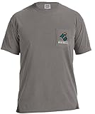 NCAA Coastal Carolina Chanticleers野球フレーム半袖ポケットTシャツ、スモール、グレー