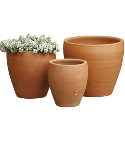 英国テラコッタ植木鉢３点 英国の高級植木鉢ウィッチフォード入荷致しました【Whichford