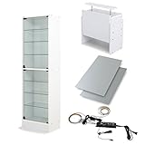 【福袋】【地球家具】コレクションラック「レギュラー」新シリーズセット 幅55cm 奥行29cm 【正規品】[鍵付きコレクションケース] [耐震]（開き戸 ハイタイプ本体+上置きロータイプ+背面ミラー+LED） ホワイト