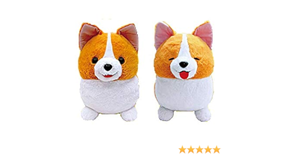 ichini corgi