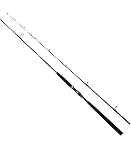 Amazon | ダイワ(DAIWA) ロッド 21 ピュアリスト AK 106MH-2 | Daiwa