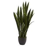 Nearly Natural 4855 Sansevieria Plant with Black Planter, Green by Nearly Natural