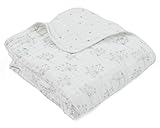 エイデンアンドアネイ(aden+anais) クラシック ドリームブランケット metallic silver deco dandelion [並行輸入品]