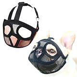 GIVETOP 短頭種犬用 口輪 犬 トレーニング メッシュ 噛みつき防止 無駄吠え防止 水が飲める 噛みつき 防止 小型犬 中型犬 大型犬 マズル 犬用口輪 舐め防止 お散歩 訓練 いぬ イヌ 犬用口輪 フレブル ブルドッグ シーズー ボストンテリア (オレンジ(Aタイプ), XXS)