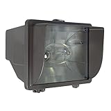 Sunset Lighting F7335-66 Outdoor Flood Fixture with Tempered Glass, Bronze Finish [並行輸入品]