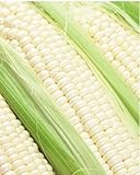 1オリジナルのパック15グラム100 +白もちトウモロコシの種子、甘いもち米フルーツコーングリーン健康おいしい食品を（最小注文$ 5ミックス）