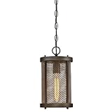 Westinghouse 6318200 Skyview One-Light Outdoor Pendant with Mesh and Clear Glass, Oil Rubbed Bronze 